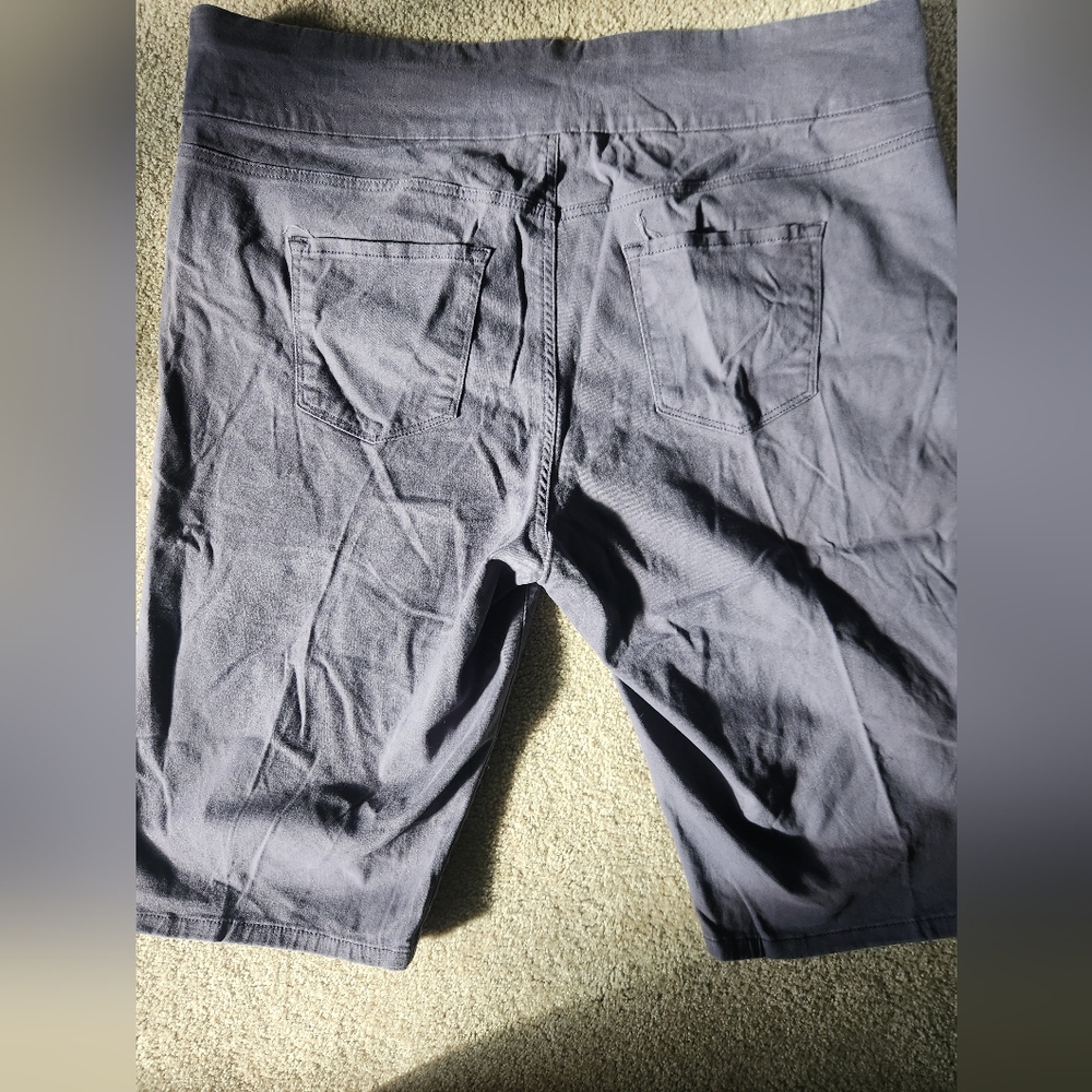 Gloria Vanderbilt Purple Womens Shorts Size 20W - Picture 2 of 4